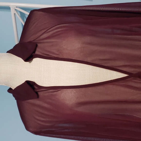 Express Sheer Deep-V Top - Picture 2 of 7